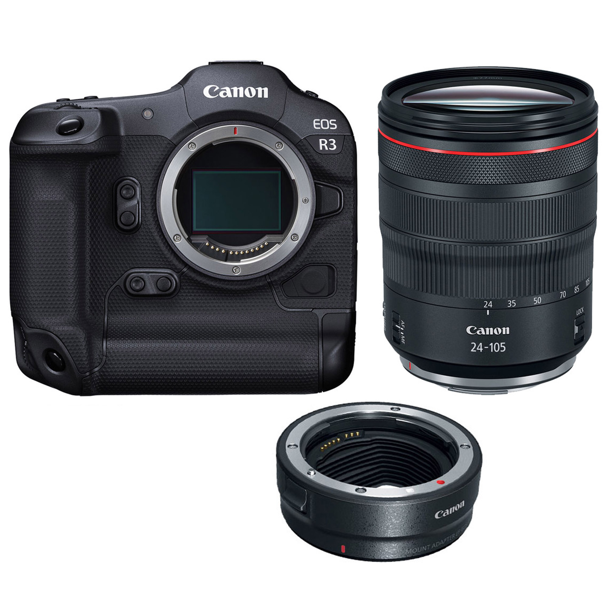 Canon EOS R3 24-105 + EF-EOS R mount adapter